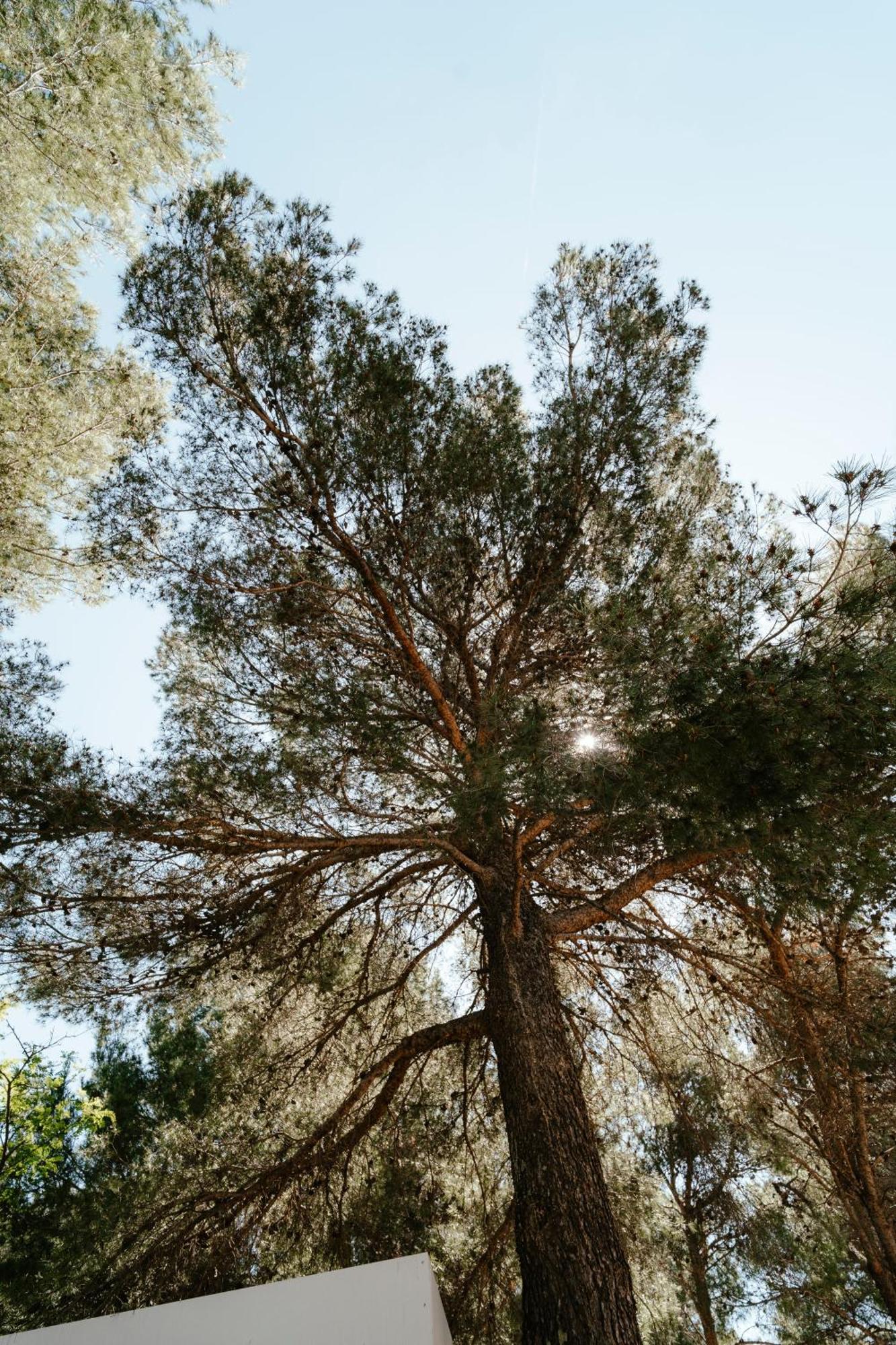 Mobile Home Amelie Drage Εξωτερικό φωτογραφία